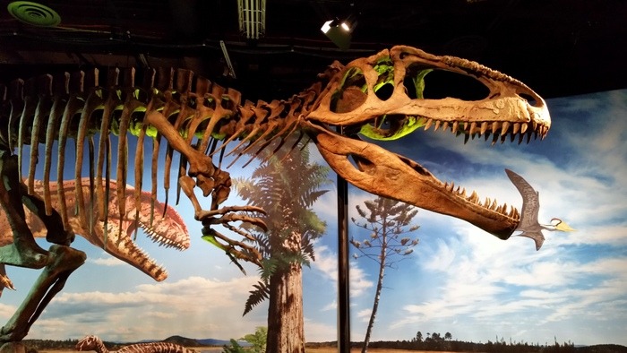 Dinosaur Skeleton at the Science Museum on Minnesota in Saint Paul, MN