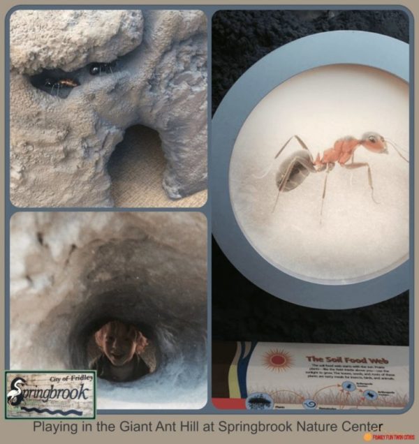 Collage of giant ant hill at Springbrook Nature Center in Fridley, Minnesota