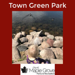 Girl watching ducks at Town Green Park, Maple Grove, Minnesota