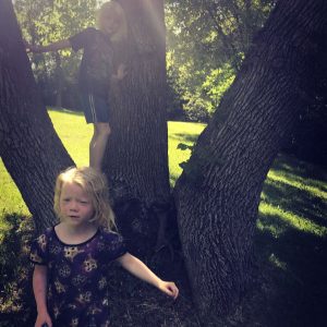 Kids climbing tree in Lakeview Knolls Park in Maple Grove, Minnesota
