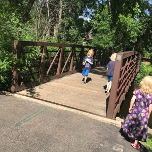 Maple Grove Aboretum Bridge