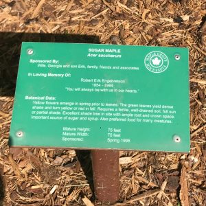 Maple Grove Arboretum Tree Sign