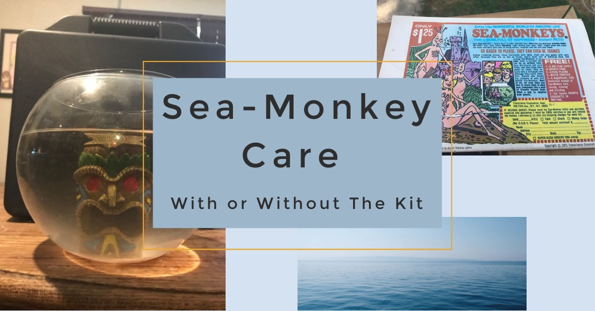 Sea Monkey Care