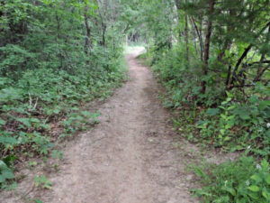 mountain bike trails at Harmon Park Reserve in Inver Grove Heights, Minnesota