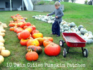10 Twin Cities Pumpkin Patches: Boy pulling wagon to carry his selected pumpkin at Eveland Farm