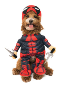 Deadpool Pet Costume $24.99 Fun.com
