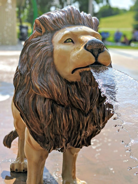 Lion fountain at the Lions Park Splash Pad in Shakopee Minnesota
