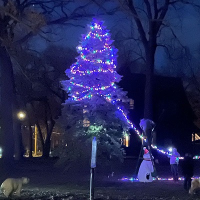 Best Christmas Light Displays Arden Hills Mn 2021