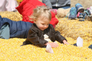 Corn pit at Twin Cities Harvest