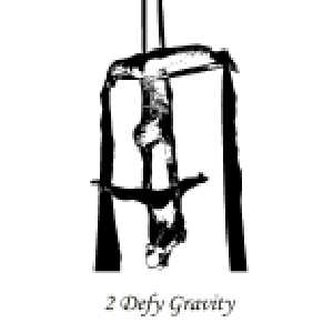 2 Defy Gravity Logo