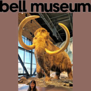 Bell Museum, Saint Paul, Minnesota