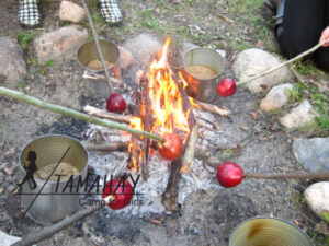 roasting apples over the fire