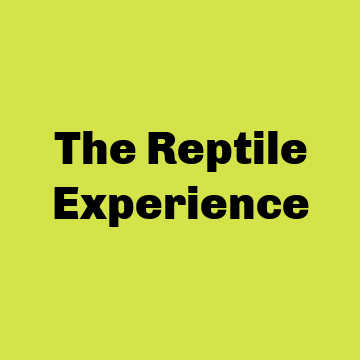 Reptile Experience