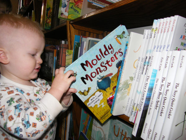 Toddler pulling book "Mouldy Monsters" from shelf at the Red Balloon Bookshop in St. Paul, Minnesota