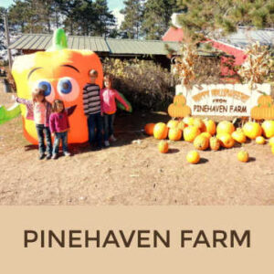 Pinehaven Farm, Wyoming Minnesota