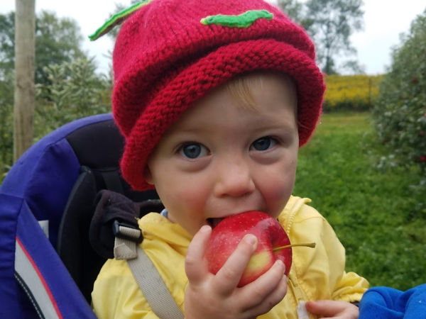 Small girl biting into an apple at Driftless Orchard in Hager City, Wisconsin