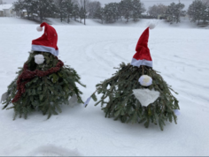 Tree Gnomes found in parks around Saint Paul, Minnesota