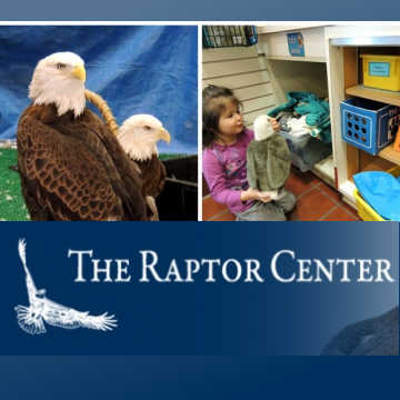 Raptor Center, Saint Paul