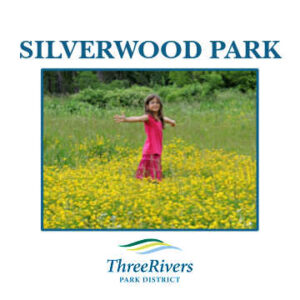 Girl standing in field of yellow flowers at Silverwood Park in St. Anthony, MN